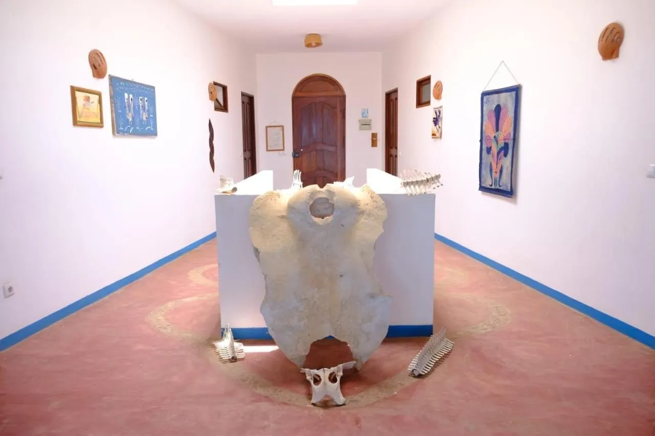 Villa De Palma A Ribeira D.Joao Figueira da Horta Кабо-Верде